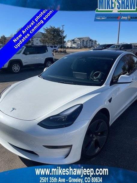 TESLA MODEL 3 2023 5YJ3E1EA0PF567388 image